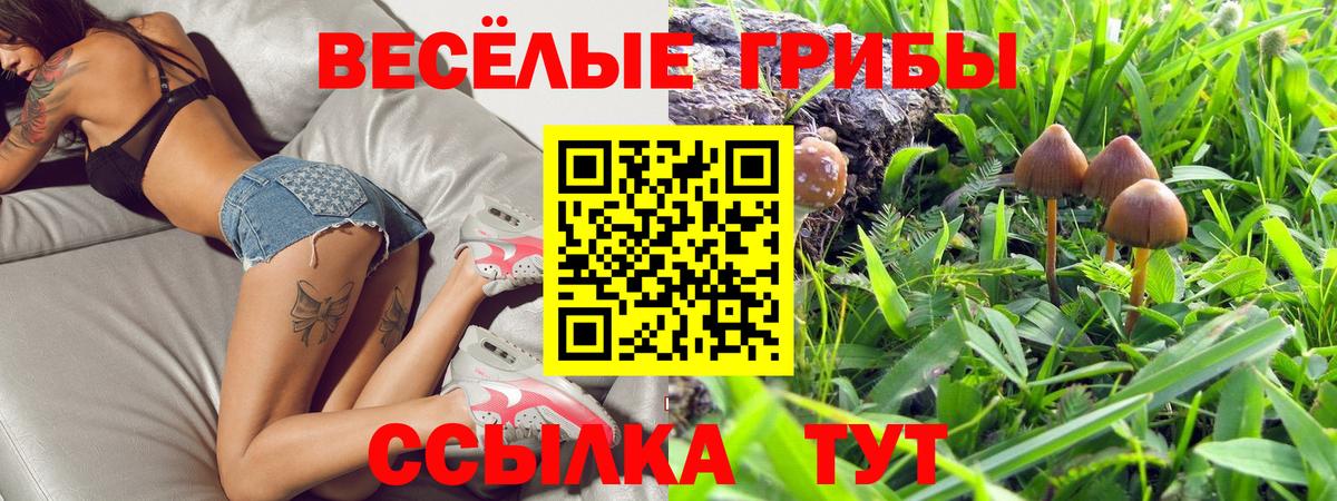 Гулькевичи  Галлюциногенные грибы мицелий  Вход с VPN 